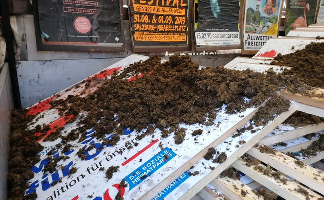 Ein Foto vom Pferdemistanschlag 