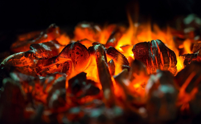 Salzburger Freiheitliche holen für die Wirtschaft die Kohle aus dem Feuer